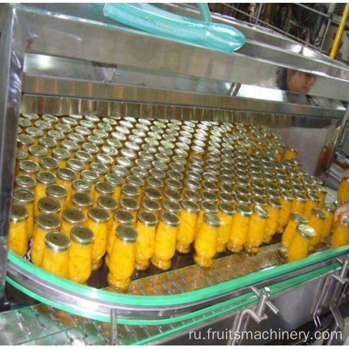 Peach/Cucumber Conneced Production Line